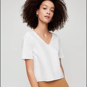 Aritzia Babaton randy blouse